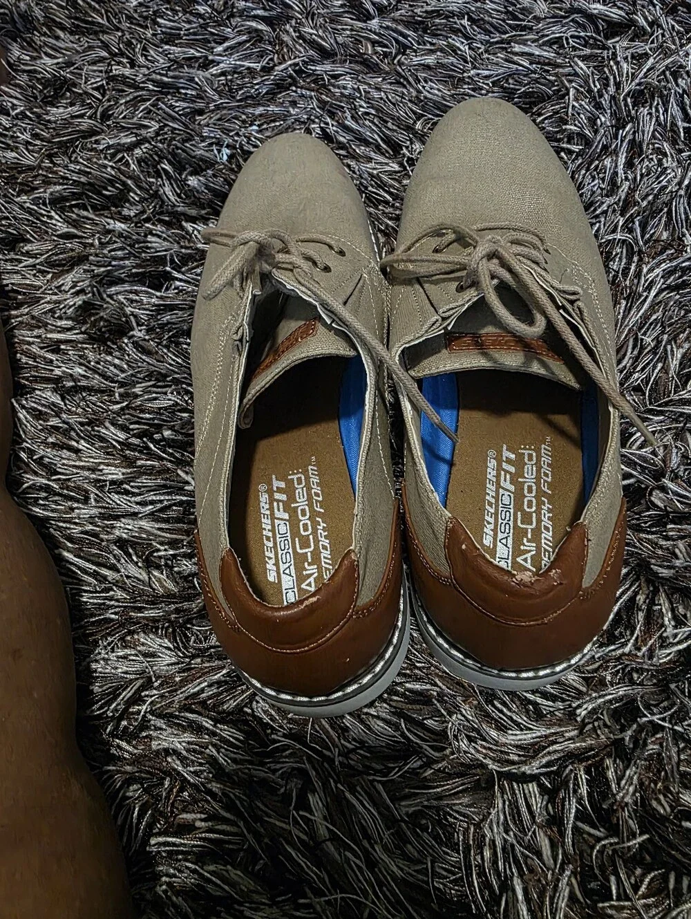 Skechers front up canvas